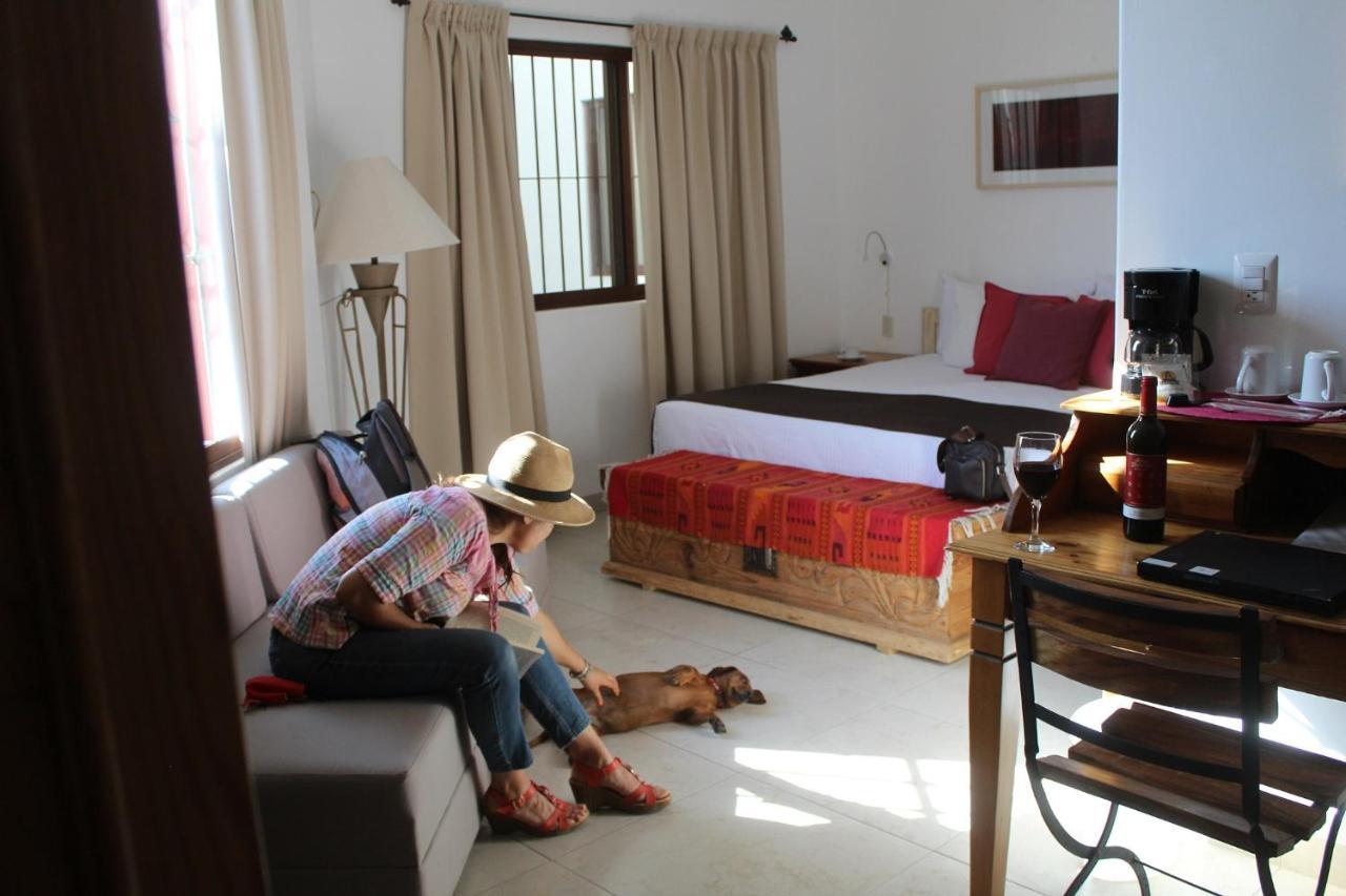 La Cochinilla Hotel Boutique オアハカ州 エクステリア 写真
