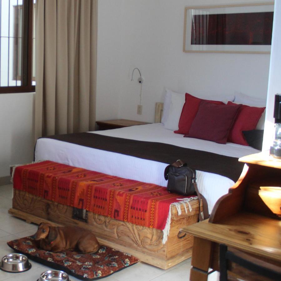La Cochinilla Hotel Boutique オアハカ州 エクステリア 写真