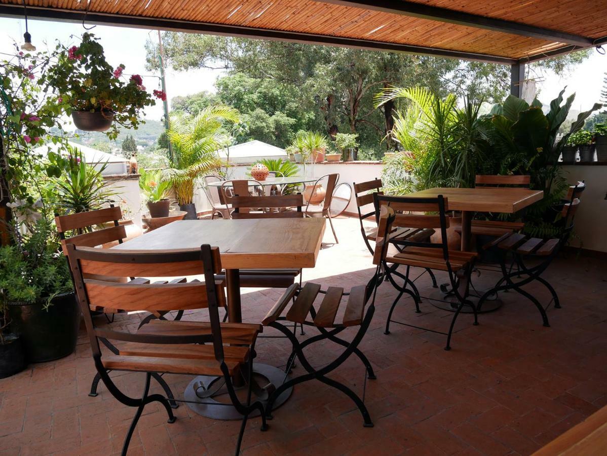 La Cochinilla Hotel Boutique オアハカ州 エクステリア 写真